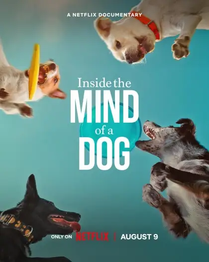 Insidethemindofadog - 7starHD