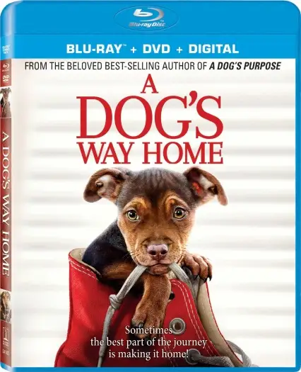 a dog s way home 2019 , 7starHD - 7starHD.gay