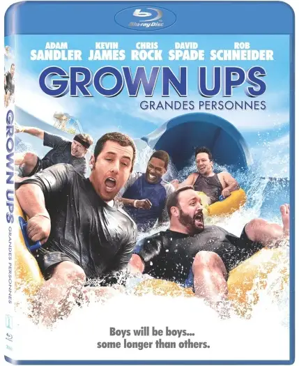 grown ups 2010